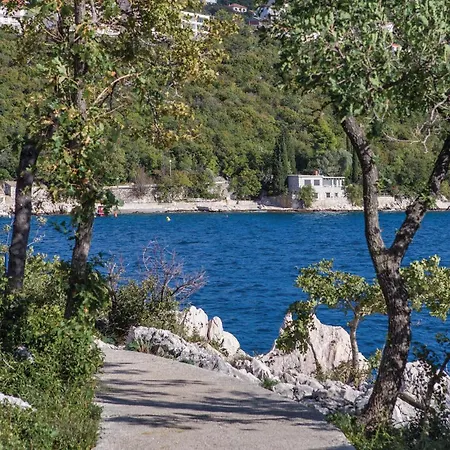 Appartamento Pet Friendly In