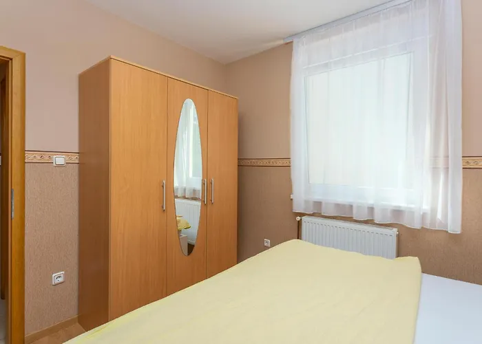 Pet Friendly In Драмаль