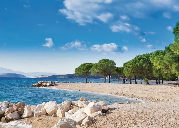 Pet Friendly In * ドラマリ