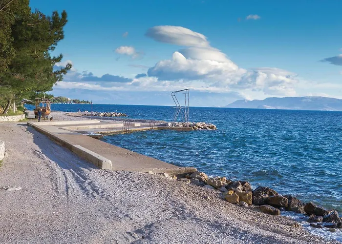 Pet Friendly In ドラマリ